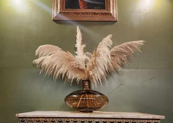 Abalone - Centre Gare Nîmes