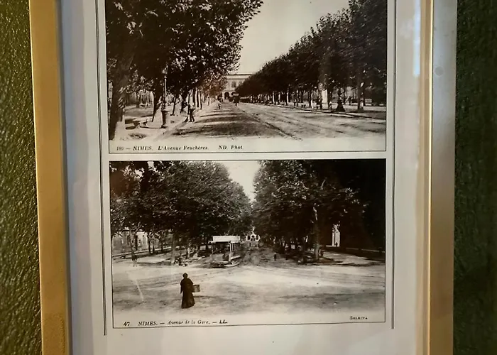 Abalone - Centre Gare Nîmes